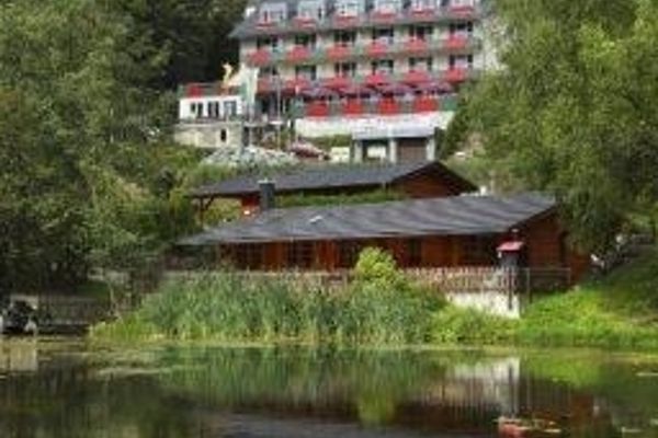 Waldhaus am See (Willingen)